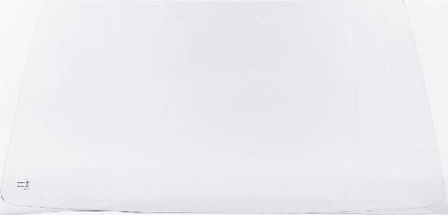 GUARDIAN WS1250C - Parbriz aaoparts.ro