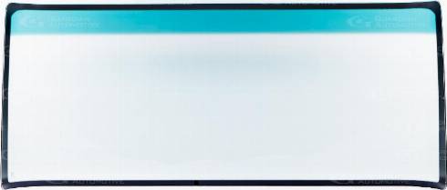 GUARDIAN WS1725GG - Parbriz aaoparts.ro