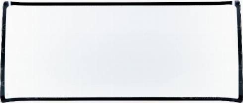 GUARDIAN WS1725G - Parbriz aaoparts.ro