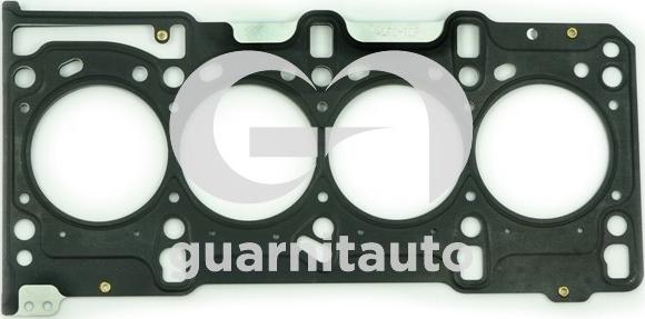 Guarnitauto 101081-5253 - Garnitura, chiulasa aaoparts.ro