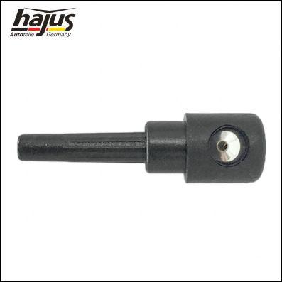 hajus Autoteile 9591113 - Diuza,spalare parbriz aaoparts.ro