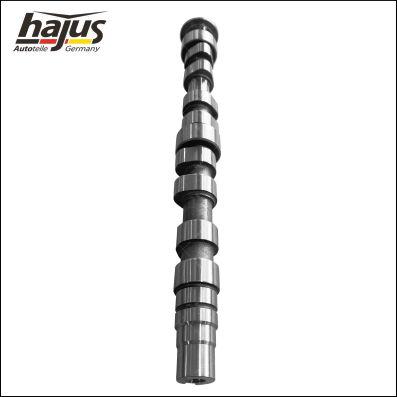 hajus Autoteile 1091060 - Ax cu came aaoparts.ro