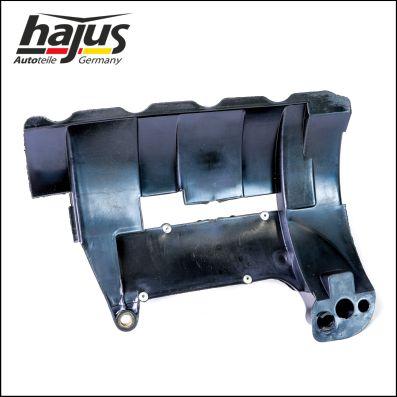 hajus Autoteile 1031011 - Tabla antival,baia de ulei aaoparts.ro