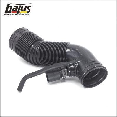 hajus Autoteile 1151012 - Palnie, filtru de aer aaoparts.ro