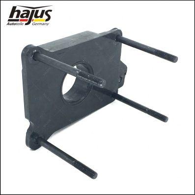 hajus Autoteile 1311002 - Flansa, injectie monopunct aaoparts.ro