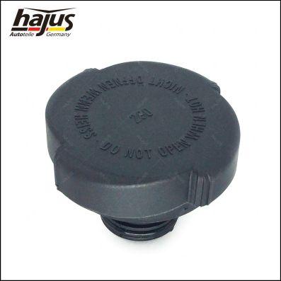 hajus Autoteile 1211006 - Buson,vas expansiune aaoparts.ro