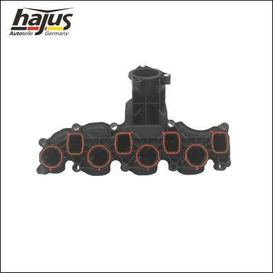 hajus Autoteile 2511059 - Carcasa, galerie admisie aaoparts.ro