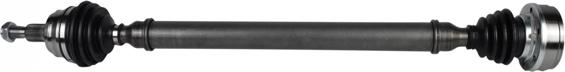Euro Driveline AD207 - Planetara aaoparts.ro