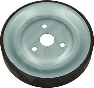 Hart 173 970 - Fulie, pompa apa aaoparts.ro