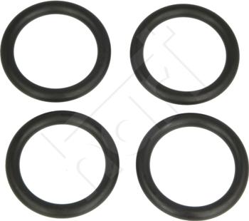 Hart 717 702 - Garnitura, galerie admisie aaoparts.ro