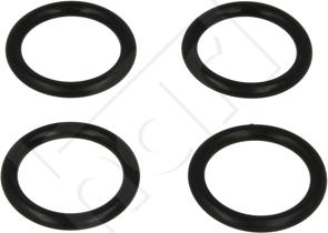 Hart 725 268 - Garnitura, galerie admisie aaoparts.ro