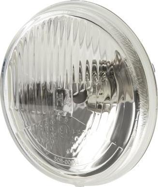 HELLA 1A3 002 850-031 - Insertie, far aaoparts.ro