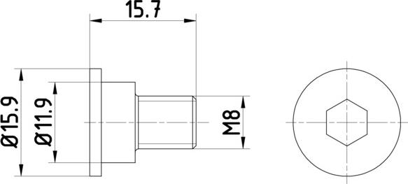 HELLA PAGID 8DZ 355 209-031 - Surub, disc frana aaoparts.ro