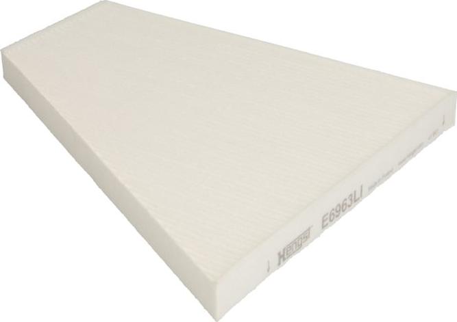 Hengst Filter E6963LI - Filtru, aer habitaclu aaoparts.ro