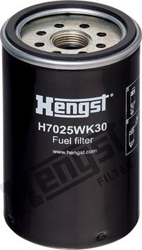 Hengst Filter H7025WK30 - Filtru combustibil aaoparts.ro