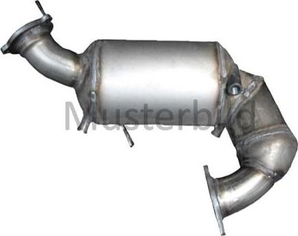Henkel Parts 6113860R - Catalizator aaoparts.ro