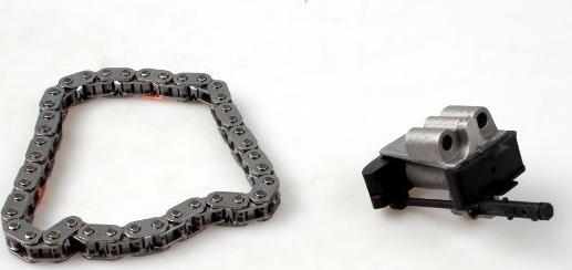 Hepu 21-0256 - Chit lant de distributie aaoparts.ro