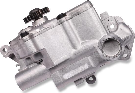 Hepu OP5502 - Pompa ulei aaoparts.ro