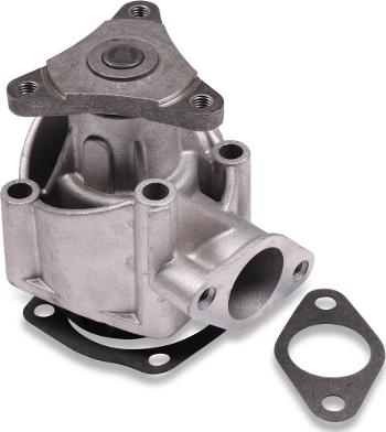 Hepu P017 - Pompa apa aaoparts.ro