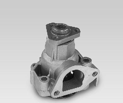 Hepu P108 - Pompa apa aaoparts.ro