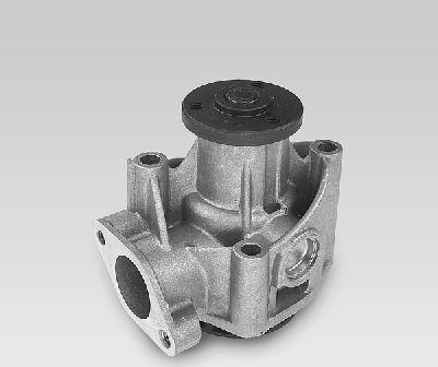 Hepu P114 - Pompa apa aaoparts.ro