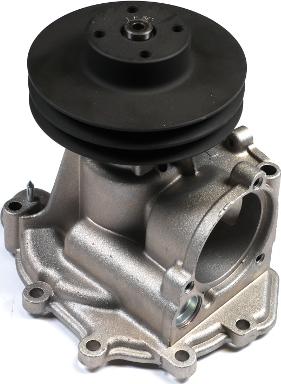 Hepu P179 - Pompa apa aaoparts.ro