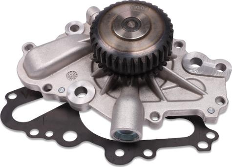 Hepu P1731 - Pompa apa aaoparts.ro