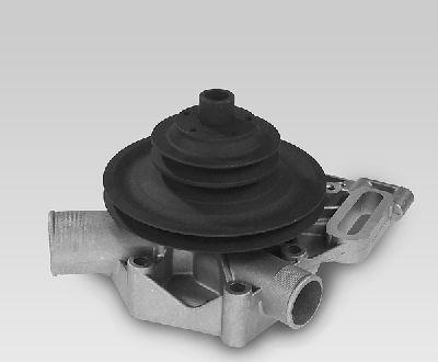 Hepu P881 - Pompa apa aaoparts.ro