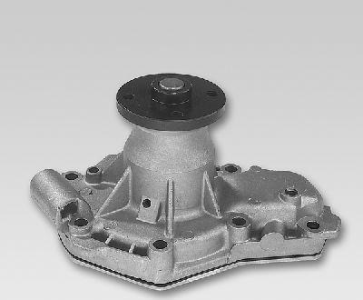 Hepu P822 - Pompa apa aaoparts.ro