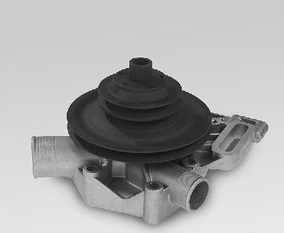 Hepu P827 - Pompa apa aaoparts.ro