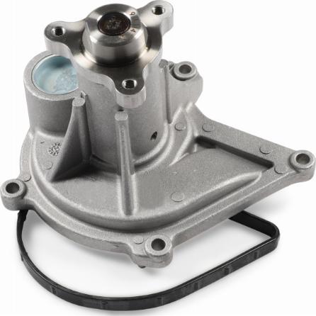 Hepu P3006 - Pompa apa aaoparts.ro