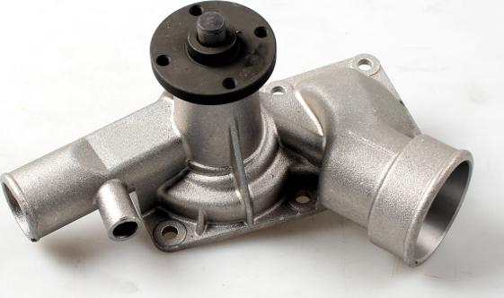 Hepu P385 - Pompa apa aaoparts.ro