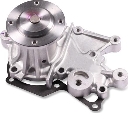 Hepu P7506 - Pompa apa aaoparts.ro