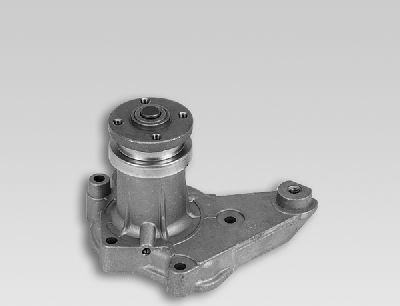 Hepu P7508 - Pompa apa aaoparts.ro