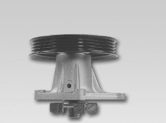 Hepu P723P - Pompa apa aaoparts.ro