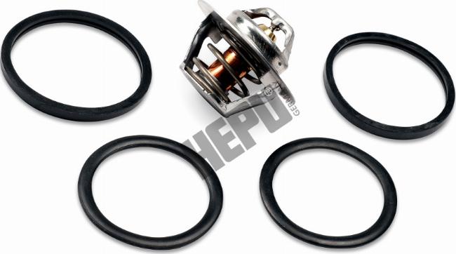 Hepu TM1291 - Termostat,lichid racire aaoparts.ro