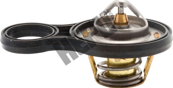 Hepu TM1293 - Termostat,lichid racire aaoparts.ro