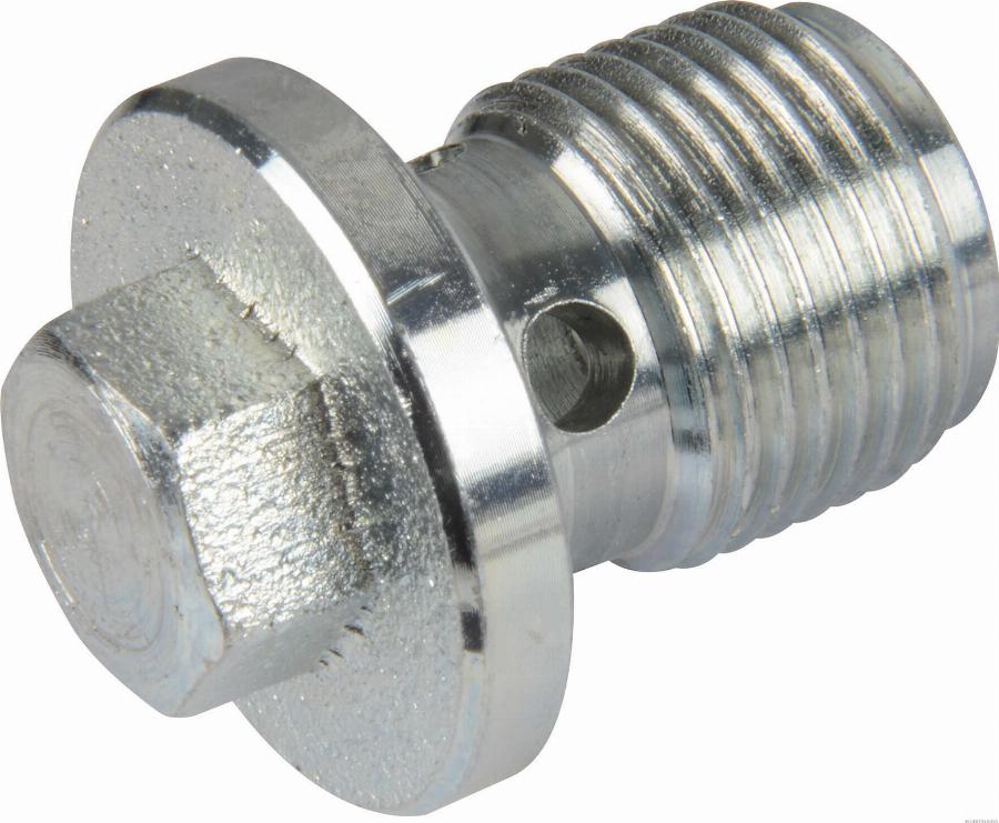 Herth+Buss Elparts 50240012 - Surub de golire,baia de ulei aaoparts.ro