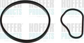 Hoffer 91252 - Garnitura, pompa vacuum aaoparts.ro