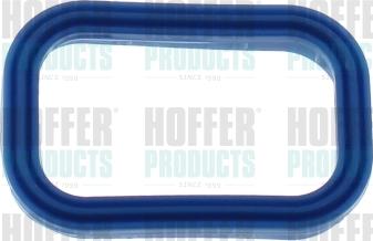 Hoffer 016197 - Garnitura, galerie admisie aaoparts.ro