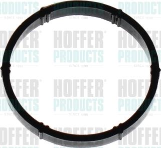 Hoffer 016153 - Garnitura, galerie admisie aaoparts.ro