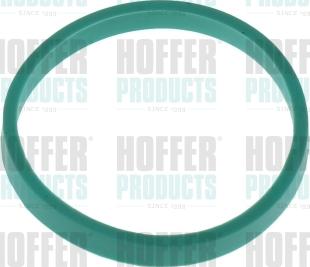 Hoffer 016166 - Garnitura, galerie admisie aaoparts.ro