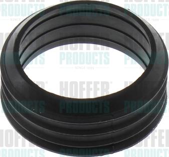 Hoffer 016160 - Garnitura, galerie admisie aaoparts.ro