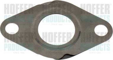 Hoffer 016168 - Garnitura, ventil AGR aaoparts.ro
