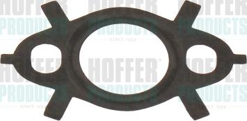 Hoffer 016261 - Garnitura, ventil AGR aaoparts.ro