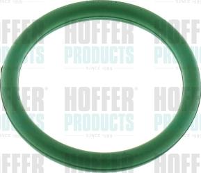 Hoffer 016200 - Garnitura, galerie admisie aaoparts.ro