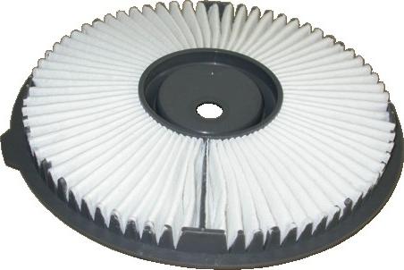 Hoffer 16289 - Filtru aer aaoparts.ro