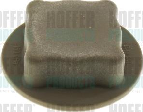 Hoffer 2036037 - Buson,vas expansiune aaoparts.ro