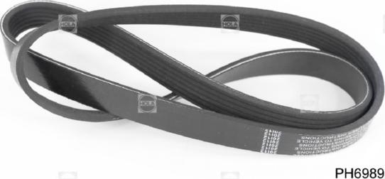 Hola PH6989 - Curea transmisie cu caneluri aaoparts.ro