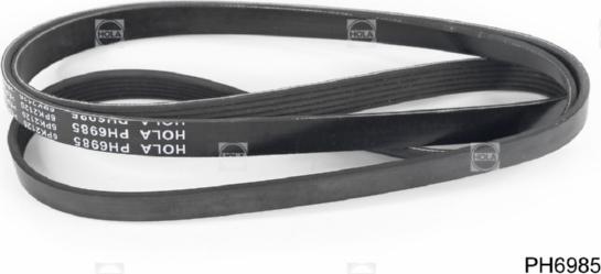 Hola PH6985 - Curea transmisie cu caneluri aaoparts.ro